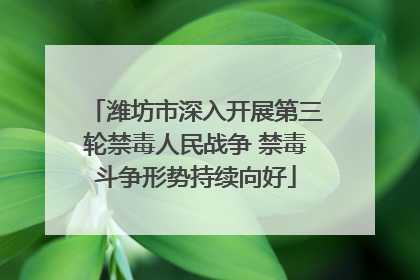 潍坊市深入开展第三轮禁毒人民战争 禁毒斗争形势持续向好